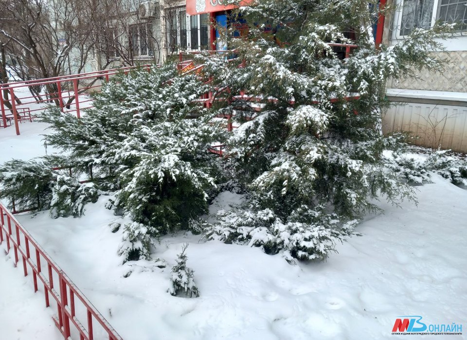 Небольшой снег при -8 градусов пройдет в Волгограде 29 января